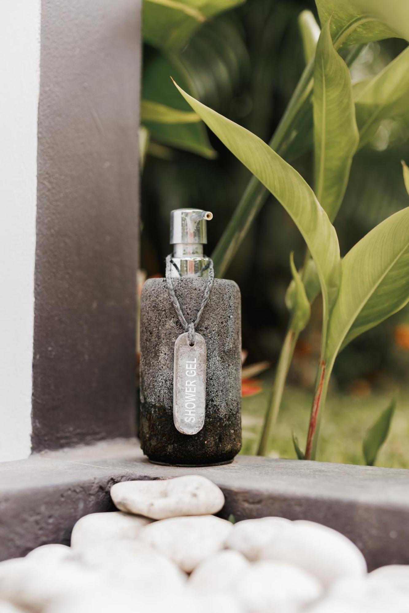 Villa Leonora Ubud Buitenkant foto